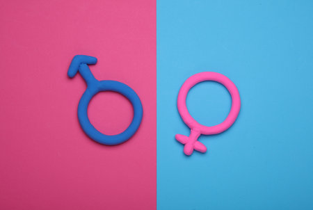 Male and female gender symbols made of plasticine on a blue and pink backgroundの写真素材