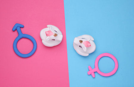 Toy unicorns, Male and female gender symbols made of plasticine on blue pink backgroundの写真素材