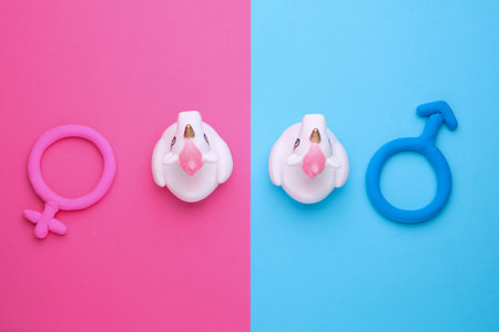 Toy unicorns, Male and female gender symbols made of plasticine on blue pink backgroundの写真素材