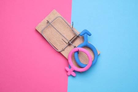 Male and female gender symbols with mouse trap on blue pink backgroundの写真素材