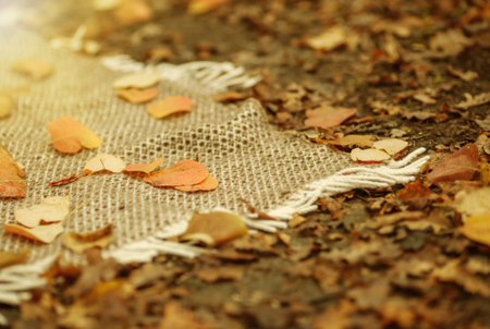 A knitted blanket with fallen autumn leaves lies on the ground. Autumn picnic