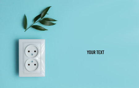 Eco concept. Power Energy Economy. Save the planet. Double power socket, green leaves on blue pastel...