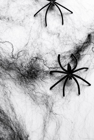 Black decorative web with spiders on white background. Halloween decorの写真素材