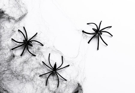 Black decorative web with spiders on white background. Halloween decor