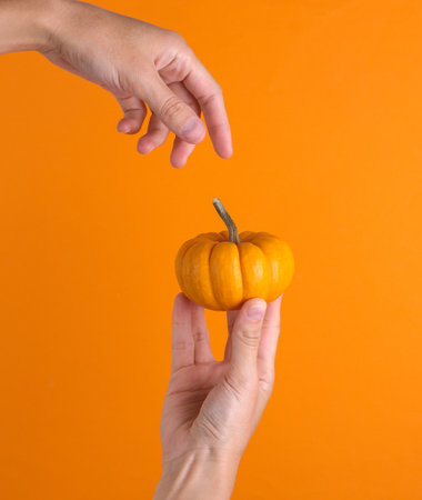 Female hand holding miniature pumpkin on orange backgroundの写真素材