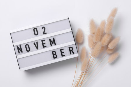 2 november letterboard text on Lightbox with dry lagurus flowers, white background. Seasonal calendar. Flat lay. Top viewの写真素材
