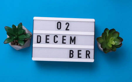 Lightbox with text December 02 on blue backgroung with decorative plant. Flat lay. Top viewの写真素材
