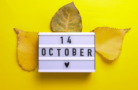 14 October letterboard text on LED Lightbox with autumn fallen leaves, yellow background. Seasonal calendar. Flat lay. Top viewの写真素材