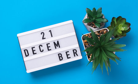 Lightbox with text December 21 on blue backgroung with decorative plant. Flat lay. Top viewの写真素材