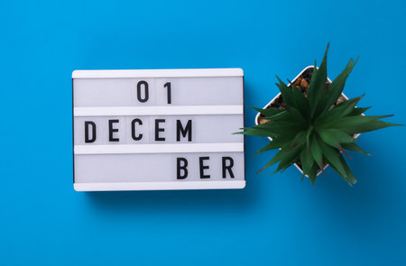 Lightbox with text December 01 on blue backgroung with decorative plant. Flat lay. Top viewの写真素材