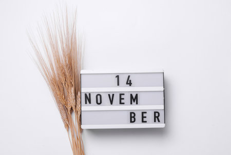 November 14 letterboard text on Lightbox with dry wheat, white background. Seasonal calendar. Flat lay. Top viewの写真素材