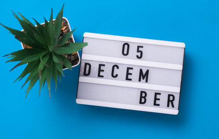 Lightbox with text December 05 on blue backgroung with decorative plant. Flat lay. Top viewの写真素材