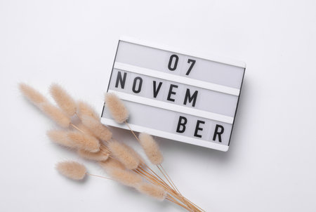 7 november letterboard text on Lightbox with dry lagurus flowers, white background. Seasonal calendar. Flat lay. Top viewの写真素材