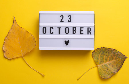 23 October letterboard text on LED Lightbox with autumn fallen leaves, yellow background. Seasonal calendar. Flat lay. Top viewの写真素材