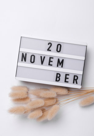 November 20 letterboard text on Lightbox with dry lagurus flowers, white background. Seasonal calendar. Flat lay. Top viewの写真素材