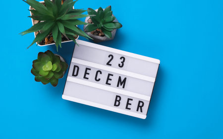 Lightbox with text December 23 on blue backgroung with decorative plant. Flat lay. Top viewの写真素材
