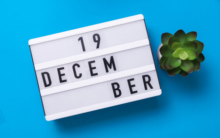 Lightbox with text December 19 on blue backgroung with decorative plant. Flat lay. Top viewの写真素材