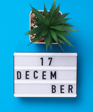 Lightbox with text December 17 on blue backgroung with decorative plant. Flat lay. Top viewの写真素材