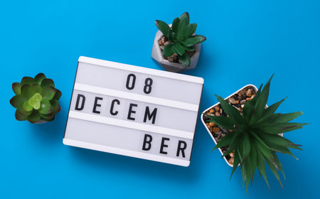 Lightbox with text December 08 on blue backgroung with decorative plant. Flat lay. Top viewの写真素材