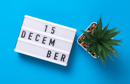 Lightbox with text December 15 on blue backgroung with decorative plant. Flat lay. Top viewの写真素材