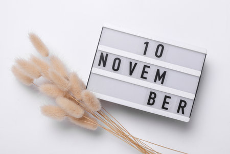 10 November letterboard text on Lightbox with dry lagurus flowers, white background. Seasonal calendar. Flat lay. Top viewの写真素材