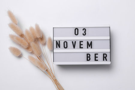 3 november letterboard text on Lightbox with dry lagurus flowers, white background. Seasonal calendar. Flat lay. Top viewの写真素材