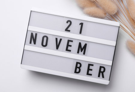November 21 letterboard text on Lightbox with dry lagurus flowers, white background. Seasonal calendar. Flat lay. Top viewの写真素材