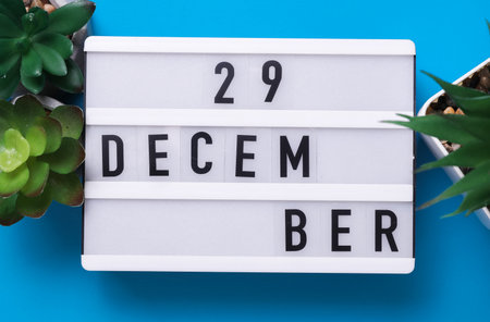 Lightbox with text December 29 on blue backgroung with decorative plant. Flat lay. Top viewの写真素材
