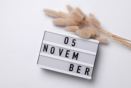 5 november letterboard text on Lightbox with dry lagurus flowers, white background. Seasonal calendar. Flat lay. Top viewの写真素材