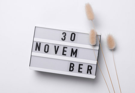30 november letterboard text on Lightbox with dry lagurus flowers, white background. Seasonal calendar. Flat lay. Top viewの写真素材