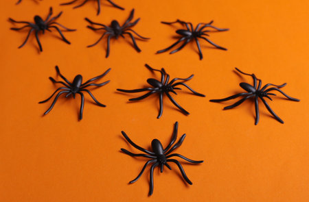Halloween decorative spiders on orange background. Top viewの写真素材