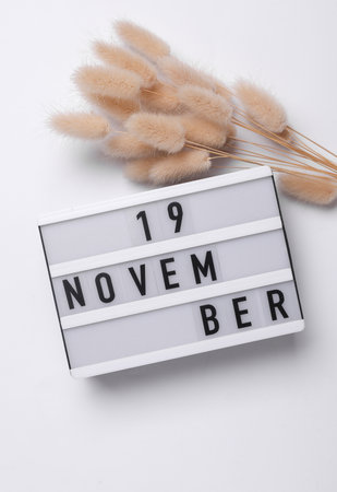 November 19 letterboard text on Lightbox with dry lagurus flowers, white background. Seasonal calendar. Flat lay. Top viewの写真素材