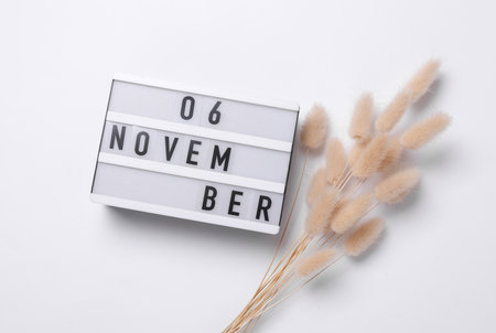 6 november letterboard text on Lightbox with dry lagurus flowers, white background. Seasonal calendar. Flat lay. Top viewの写真素材