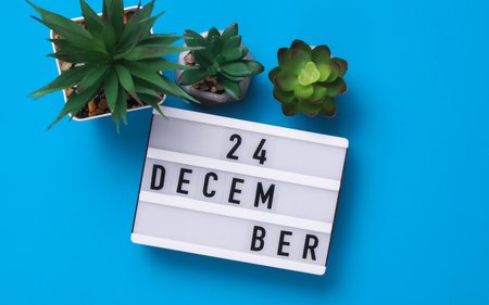 Lightbox with text December 24 on blue backgroung with decorative plant. Flat lay. Top viewの写真素材