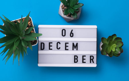 Lightbox with text December 06 on blue backgroung with decorative plant. Flat lay. Top viewの写真素材