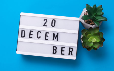 Lightbox with text December 20 on blue backgroung with decorative plant. Flat lay. Top viewの写真素材