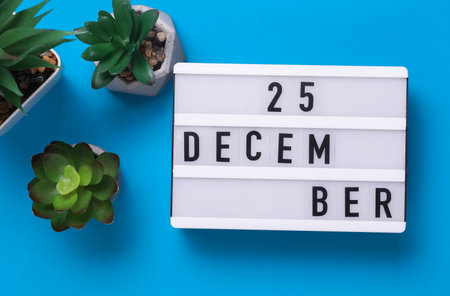 Lightbox with text December 25 on blue backgroung with decorative plant. Flat lay. Top viewの写真素材