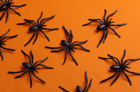 Halloween decorative spiders on orange background. Top viewの写真素材