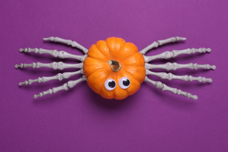 Monster spider from pumpkin with eyes and skeleton hands on purple background. Halloween decorの写真素材