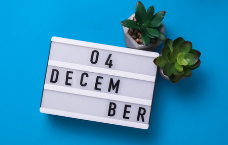Lightbox with text December 04 on blue backgroung with decorative plant. Flat lay. Top view