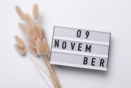 9 november letterboard text on Lightbox with dry lagurus flowers, white background. Seasonal calendar. Flat lay. Top viewの写真素材