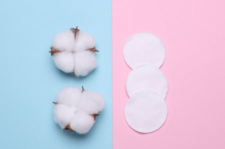 Cotton pads for makeup and cotton flowers on pink blue background. Top viewの写真素材