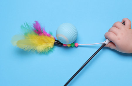 Toys for cats. Baby hand holding Stick with feather and ball on blue background