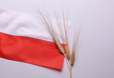 Ears of wheat with Poland flag. Trade export and economy, grain deal and world food security concept.の写真素材