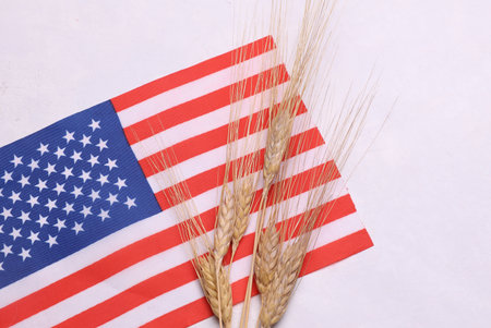 Ears of wheat with USA flag. Trade export and economy, grain deal and world food security concept.の写真素材