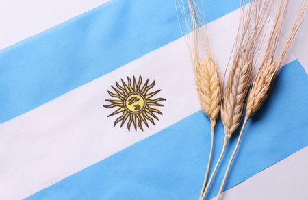 Ears of wheat with Argentina flag. Trade export and economy, grain deal and world food security concept.の写真素材