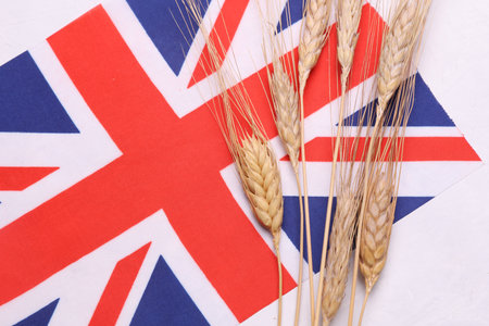 Ears of wheat with Great Britain flag. Trade export and economy, grain deal and world food security concept.の写真素材