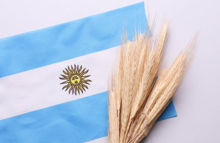 Ears of wheat with Argentina flag. Trade export and economy, grain deal and world food security concept.の写真素材
