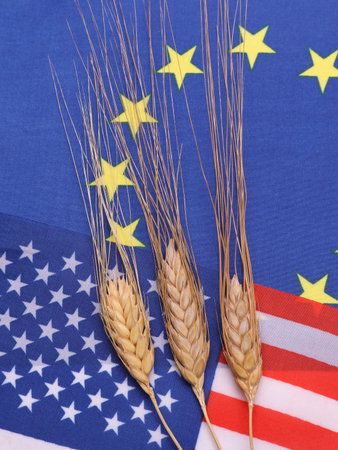 Flags of USA and EU with ears of wheat. Trade, Export, grain deal and world food security conceptの写真素材