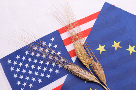Flags of USA and EU with ears of wheat. Trade, Export, grain deal and world food security conceptの写真素材
